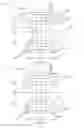Fig. 16 - Absorbent articles with elastics in multiple layers