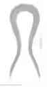 Fig. 43 - ABSORBENT ARTICLES HAVING SUBSTRATES HAVING FLOW CONTROL MATERIALS