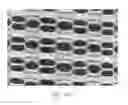 Fig. 47 - ABSORBENT ARTICLES HAVING SUBSTRATES HAVING FLOW CONTROL MATERIALS