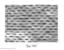 Fig. 46 - ABSORBENT ARTICLES HAVING SUBSTRATES HAVING ZONAL TREATMENTS