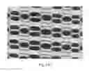 Fig. 47 - ABSORBENT ARTICLES HAVING SUBSTRATES HAVING ZONAL TREATMENTS