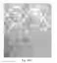 Fig. 53 - ABSORBENT ARTICLES HAVING SUBSTRATES HAVING ZONAL TREATMENTS