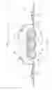 Fig. 04 - Absorbent Articles Having Zones