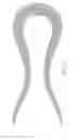 Fig. 43 - Absorbent Articles Having Zones