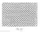 Fig. 50 - Absorbent Articles Having Zones
