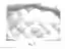Fig. 54 - Absorbent Articles Having Zones