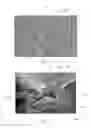 Fig. 80 - Absorbent Articles Having Zones