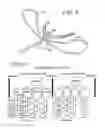 Fig. 04 - Oral mouthpiece and method for the use thereof