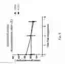 Fig. 04 - Methods for protecting and treating traumatic brain injury, concussion and brain inflammation with intranasal insulin