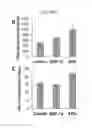 Fig. 09 - Cancer cell trap