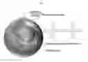 Fig. 02 - Core-shell nanoparticle including nucleic acid hydrogel and method of producing the same