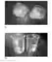 Fig. 02 - Dispersible Tablet
