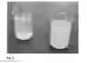 Fig. 03 - Dispersible Tablet