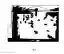 Fig. 02 - PRENYLATED CHALCONE FORMULATION FOR THE TREATMENT OF BEES