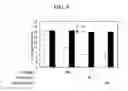 Fig. 06 - METHODS OF INHIBITING VASCULAR PERMEABILITY AND APOPTOSIS