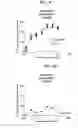 Fig. 06 - Method of Treating Neurological Conditions with Extract of Nerium Species or Thevetia Species