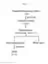 Fig. 02 - Composition and method for enhancing alcohol metabolism