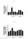 Fig. 06 - Composition and method for enhancing alcohol metabolism