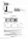 Fig. 10 - THY1 (CD90) as a novel therapy to control adipose tissue accumulation