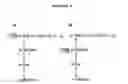 Fig. 02 - IMMUNOGENIC COMPOSITIONS