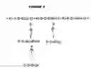 Fig. 04 - IMMUNOGENIC COMPOSITIONS
