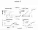 Fig. 05 - IMMUNOGENIC COMPOSITIONS