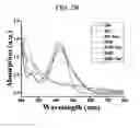 Fig. 04 - GRAPHENE DERIVATIVE-BASED COMPOSITION FOR DRUG DELIVERY AND PREPARATION METHOD THEREOF