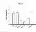 Fig. 13 - GRAPHENE DERIVATIVE-BASED COMPOSITION FOR DRUG DELIVERY AND PREPARATION METHOD THEREOF