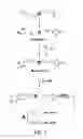 Fig. 02 - Semi-solid delivery systems