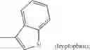 Fig. 09 - Poly(vinyl ester) polymers for in vivo nucleic acid delivery