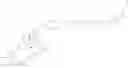Fig. 44 - DRUG-PROTEIN CONJUGATES