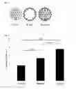 Fig. 02 - Dual mode gadolinium nanoparticle contrast agents
