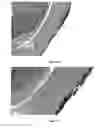 Fig. 11 - BIOADHESIVE FOR TISSUE REPAIR