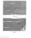 Fig. 18 - BIOADHESIVE FOR TISSUE REPAIR