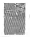 Fig. 02 - Method for producing a collagen membrane and uses thereof