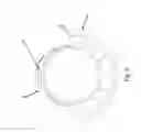 Fig. 07 - Adaptable sleeve for catheter securement and protection