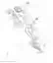 Fig. 02 - Elliptical prone exerciser