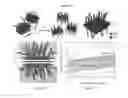 Fig. 08 - Sorting two-dimensional nanomaterials by thickness