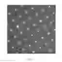 Fig. 09 - PARTICULATE NANOSORTING STACK