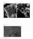 Fig. 03 - Method for preparing hollow carbon structure using cracking reaction of heavy hydrocarbon fraction