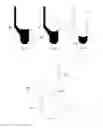 Fig. 06 - Plurality of reaction chambers in a test cartridge