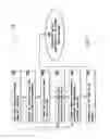 Fig. 04 - On-line oil and foreign matter detection stystem and method employing hyperspectral imaging