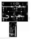 Fig. 22 - Flexible robotic actuators
