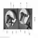 Fig. 41 - Flexible robotic actuators
