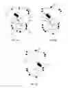 Fig. 17 - Learning apparatus and methods for control of robotic devices via spoofing