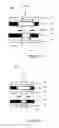 Fig. 07 - Information Medium And A Method Of Producing The Same