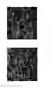 Fig. 02 - Process for the preparation of hierarchically meso and macroporous structured materials