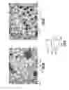 Fig. 05 - Formation of voids within components formed from porous substrates