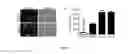 Fig. 08 - Compounds for treating infectious diseases