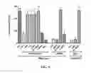 Fig. 06 - COMPOSITIONS AND METHODS FOR TREATING ESTROGEN-RELATED MEDICAL DISORDERS